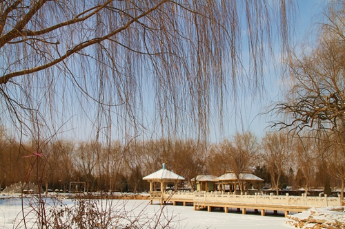 ѩ��԰  ½����.JPG